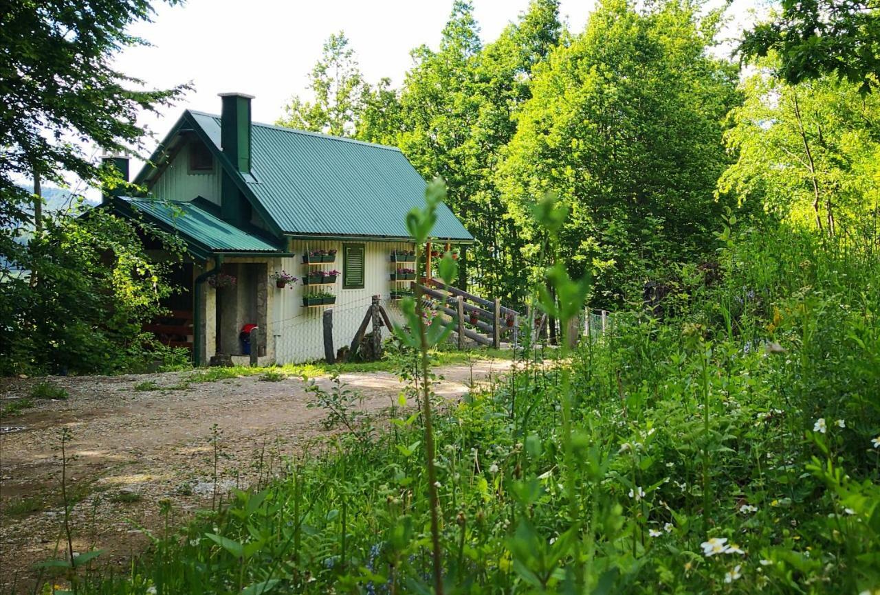 Koliba Pcelica 1-Spa Bijelo Polje Exteriör bild